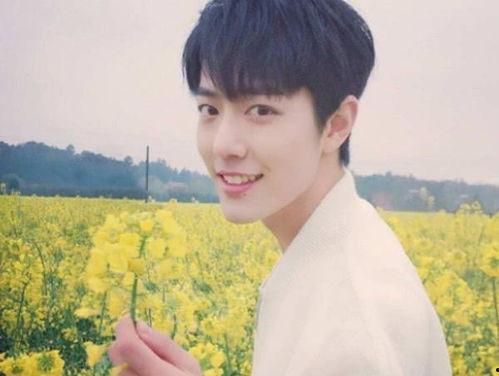 吃瓜娱乐圈肖战王一博,肖战王一博的瓜界传奇