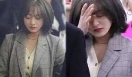 最新爆料女星名单大全视频,揭秘女星名单大全视频精彩瞬间