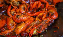 成都小龙虾爆料视频播放,视频播放量惊人，揭秘网红美食背后的故事