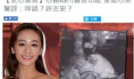 十三妹大姐爆料视频,揭秘视频背后的惊人真相