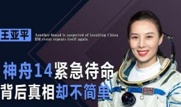 警花爆料视频,视频曝光惊人内幕，真相令人震惊！