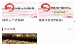 兴宁新闻爆料平台,聚焦民生热点，揭示社会现象