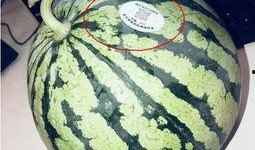 网红吃瓜入口在哪里可以看