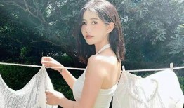 网红吸脂爆料视频大全集,视频大全集深度解析