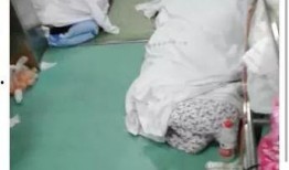 武汉最新爆料的医生是谁,这位医生引发广泛关注