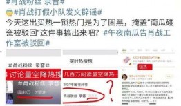 小雪黑粉爆料视频,真相与争议并存