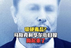 美媒爆料马斯克事件视频,美媒揭秘惊人一幕