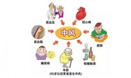 日本爆料新病毒事件视频,视频爆料揭示惊人真相